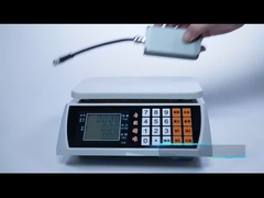 EVS 시리즈 전기 진공 가동기-1